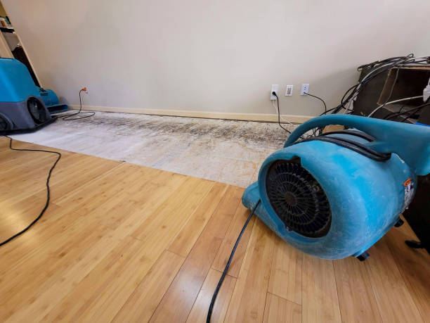 Professional Structural Drying technician working in Sea Cliff, NY